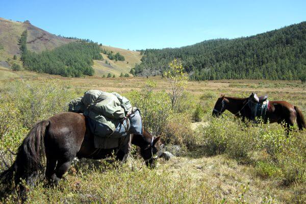 mongolia horse riding 141