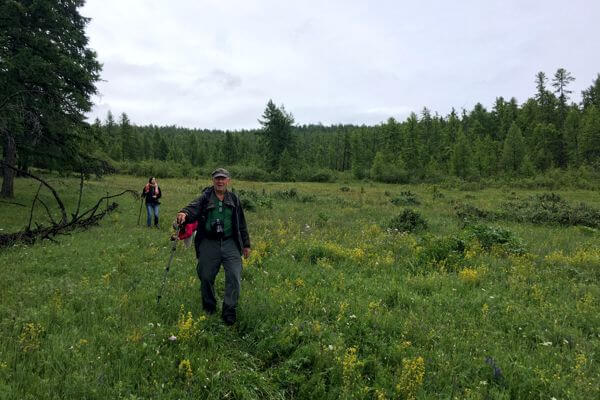 Trekking in Khentii mountains