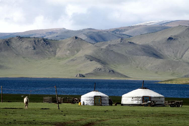 nomads mongolian 187